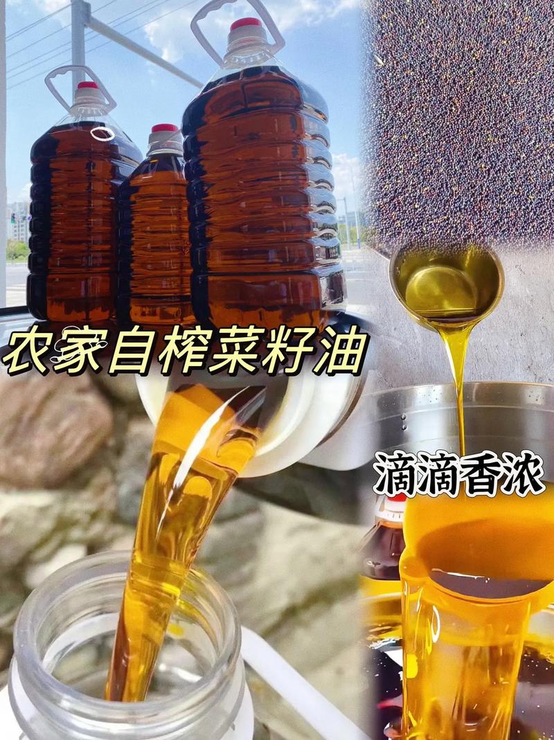 抖音图文来了#菜籽油#优质农产品#食用油 小时候家家户户都